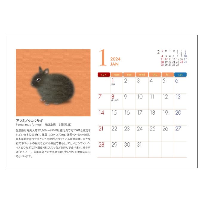 日本の絶滅危惧動物カレンダー　(All eco)